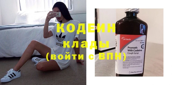 прущие грибы Михайлов