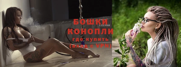 прущие грибы Михайлов