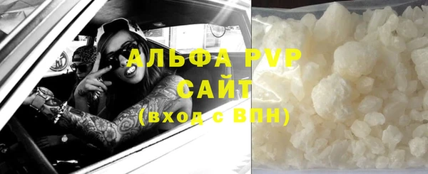 прущие грибы Михайлов