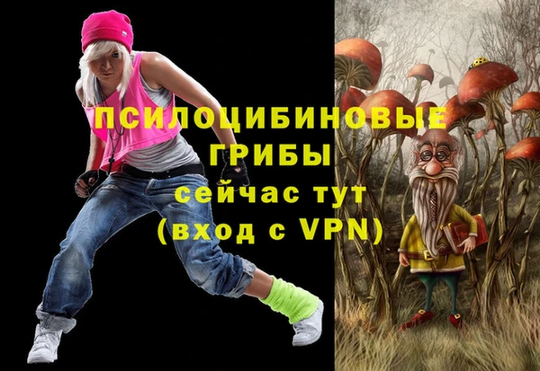 прущие грибы Михайлов