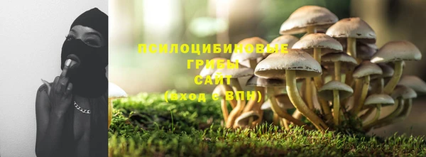 прущие грибы Михайлов