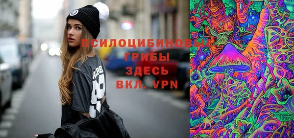 прущие грибы Михайлов