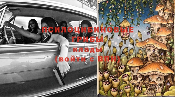прущие грибы Михайлов