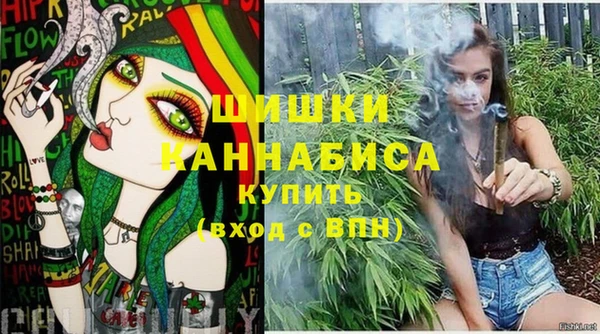 прущие грибы Михайлов