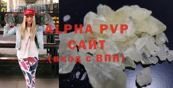 прущие грибы Михайлов