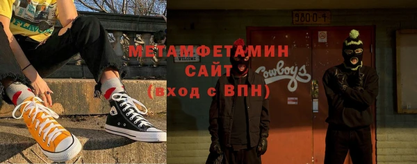 прущие грибы Михайлов