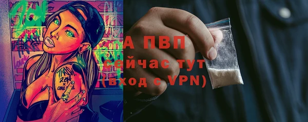 прущие грибы Михайлов