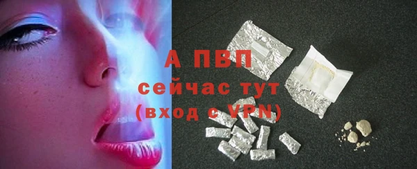 прущие грибы Михайлов
