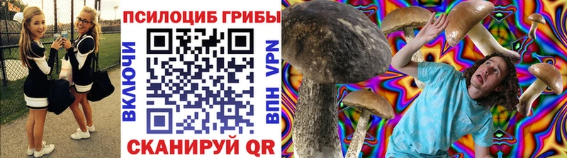 где купить наркоту  Таруса  ссылка на мегу вход  Псилоцибиновые грибы Magic Shrooms 